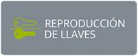 reproduccion-llaves